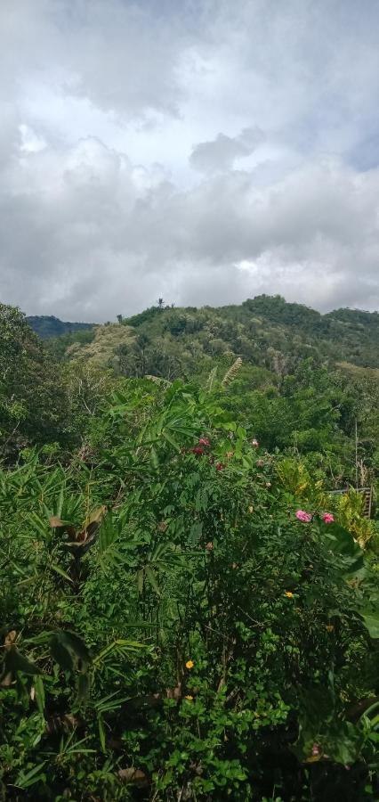 Palm Bungalow Hotel Kelimutu Buitenkant foto