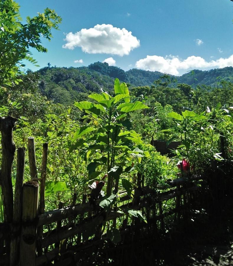 Palm Bungalow Hotel Kelimutu Buitenkant foto